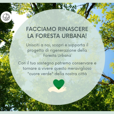 La coesione è green: rigeneriAmo la Foresta Urbana di Como